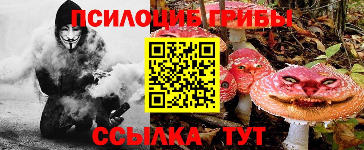 Галлюциногенные грибы Psilocybe Ишим